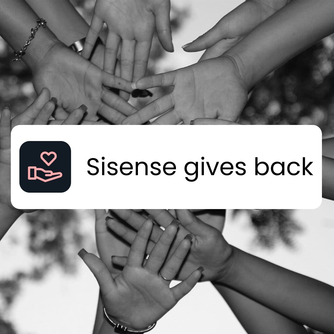 Sisense gives back photo